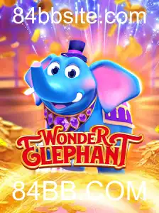 Descubra o Fascinante Mundo de WonderElephant e Suas Regras Únicas